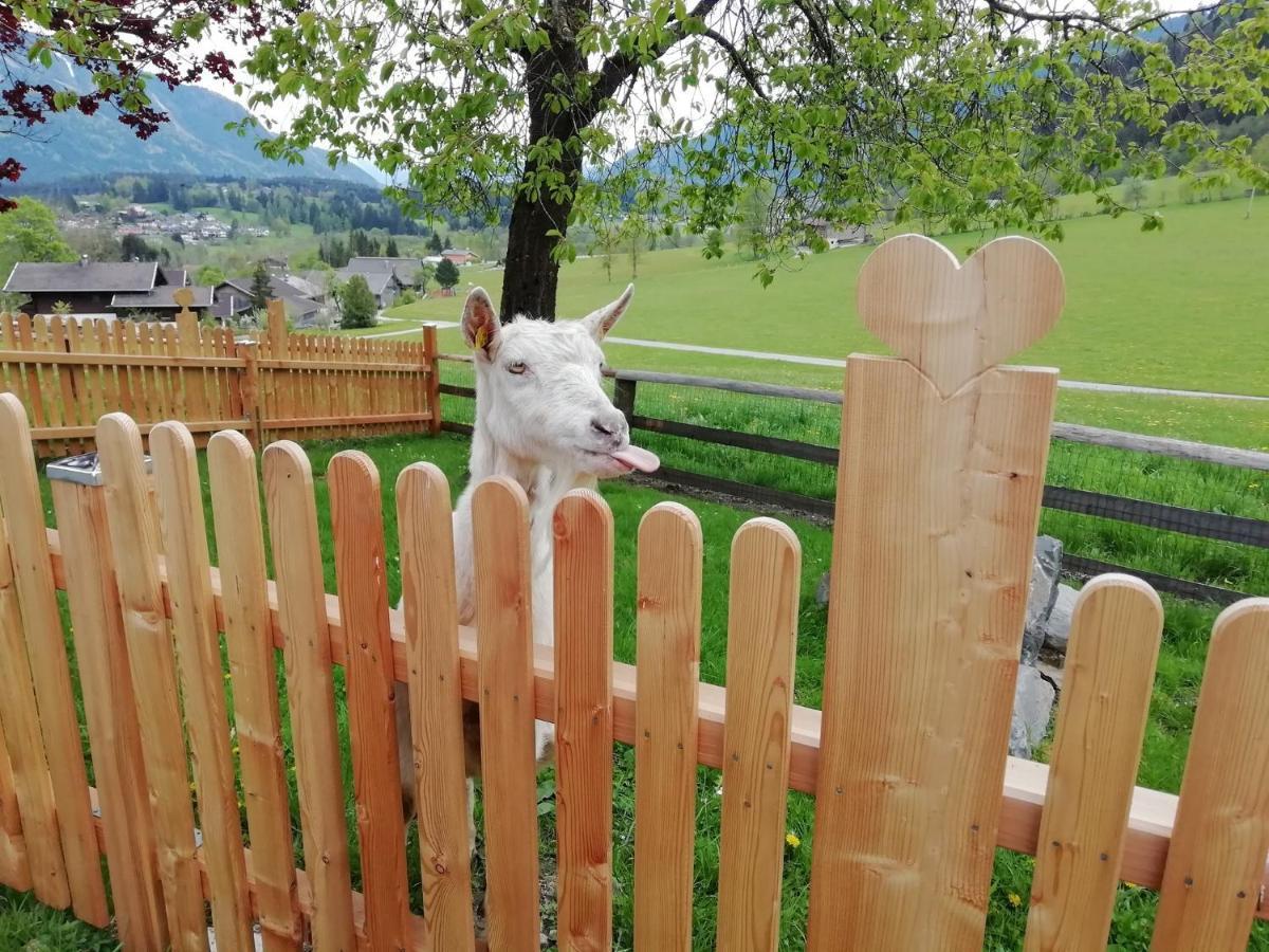 Willa Vorderkasbichlhof Saalfelden Zewnętrze zdjęcie